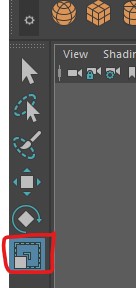 scale button