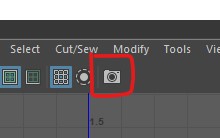 snapshot button