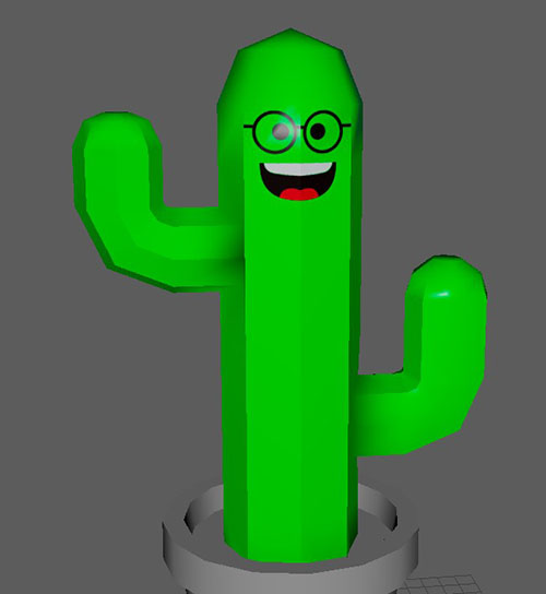 finished cactus