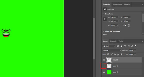 hide layer 1