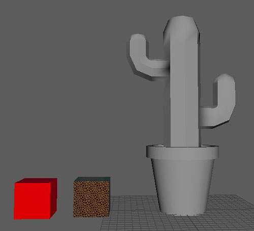 cactus next to textured cubes