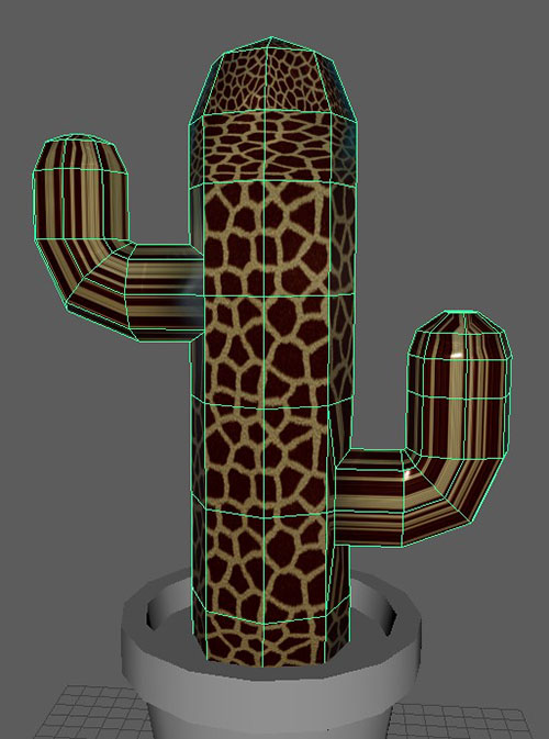 cactus with stretched material on it