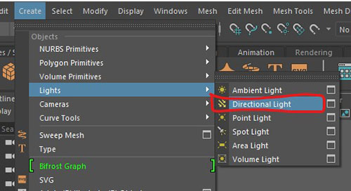 directional light